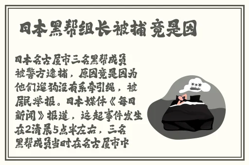 星空无限传媒在线观看电视剧赘婿
